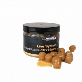 Hookbaits CCMoore Live System Glugged