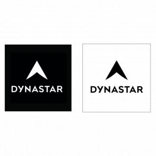 Autocolantes Dynastar L100 corporate
