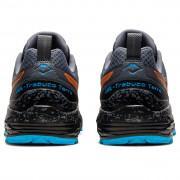 Sapatos de trilha Asics Gel-Trabuco Terra